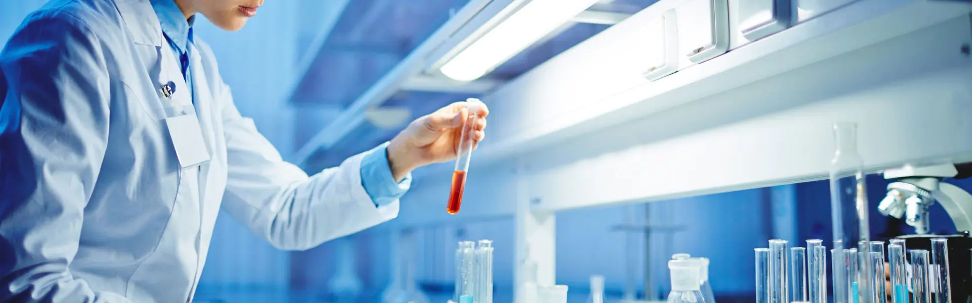 जांच भेजें